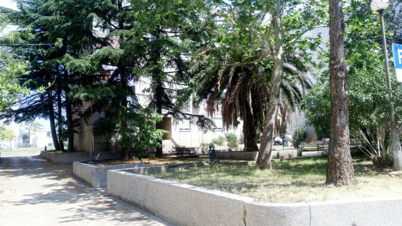 Apartments Zara- Zd מראה חיצוני תמונה